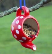 Bird Feeder