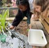 Pond Dipping